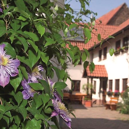 Pension Gaestehaus Kachelofa Файинген-ан-дер-Энц Экстерьер фото