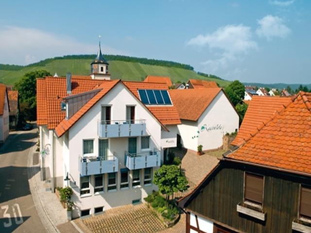 Pension Gaestehaus Kachelofa Файинген-ан-дер-Энц Экстерьер фото